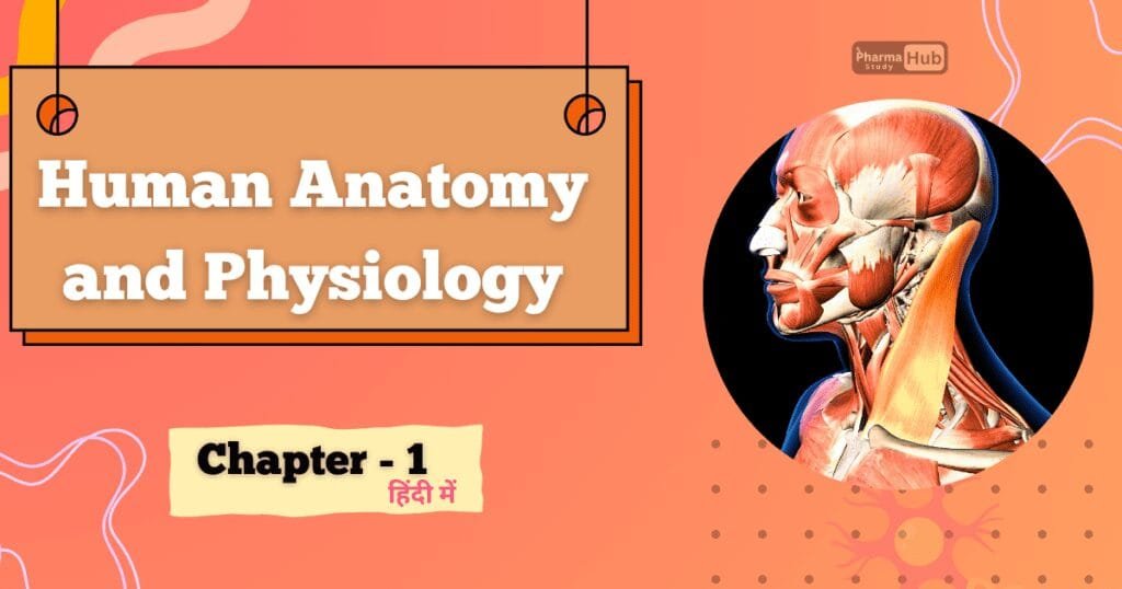 Human Anatomy and Physiology | D.Pharm 1st Year | Chapter - 1 1 Human Anatomy and Physiology