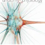 D Pharmacy 1st Year Books Free Download PDF. 4 human anatomy and physiology