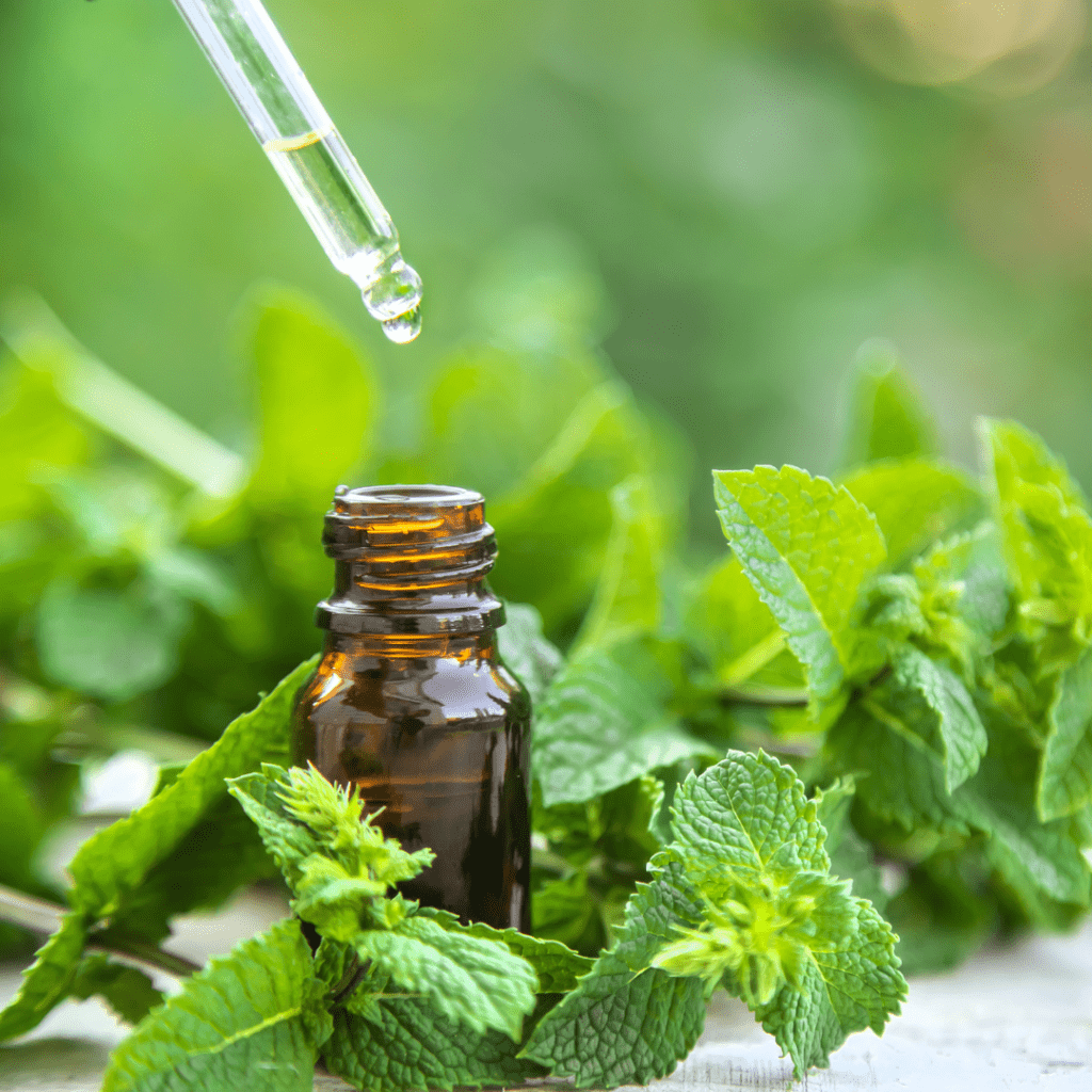 Peppermint Oil