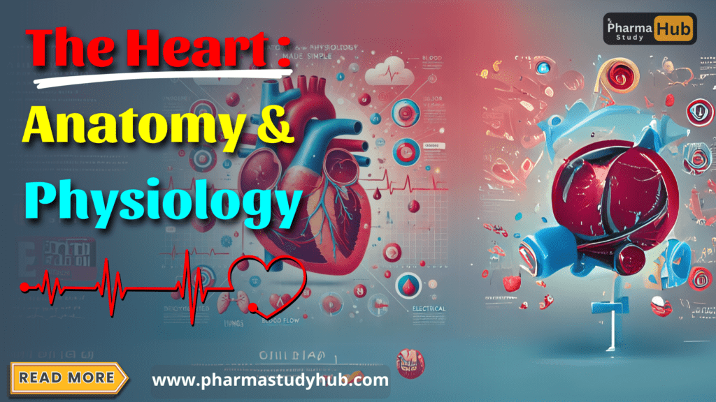 Unveiling the Heart: Anatomy and Physiology Of The Heart 1 Heart: Anatomy and Physiology