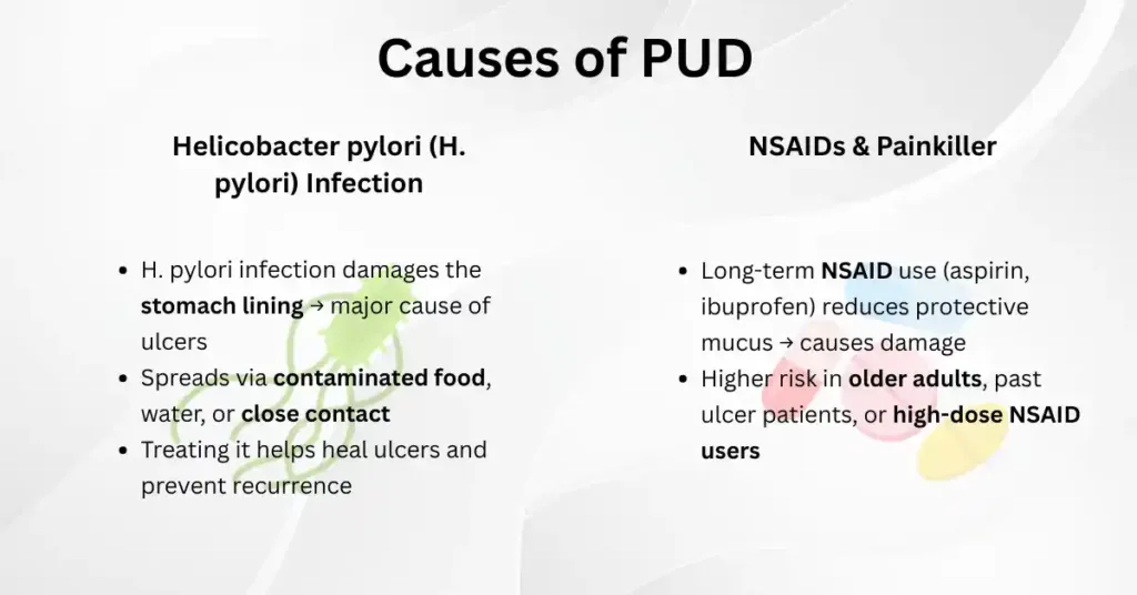 Causes of PUD: H. pylori infection damages stomach lining; long-term NSAID use reduces protective mucus