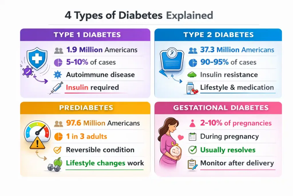 What is Diabetes? Types, Symptoms & Treatment Guide 2026 4 Comparison chart of four diabetes types: Type 1, Type 2, prediabetes, and gestational diabetes
